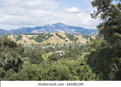 View Of Mt. Diablo From Walnut Creek