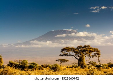 View of Mt Kilimanjaro in the afternoon