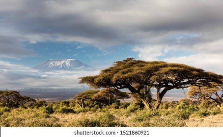 View of Mt Kilimanjaro in the morning
