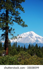 View Of Mt Shasta