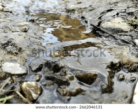 view of a muddy and rocky path, likely after rain or near a water source.