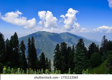 138 Nathia gali Images, Stock Photos & Vectors | Shutterstock