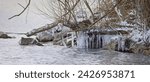 View of Multiple icicles hanging down low branches by the shores of the East Niagara River. Buckhorn Island State Park, Grand Island, New York, USA, February 17th, 2024
