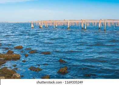View of the Mussel Cultivation sistem at the Scardovari Lagoon, Po river estuary, Rovigo, Veneto, Italy