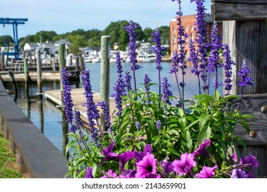  View Of Mystic River With Flowers In Front, Connecticut. Summer 2021