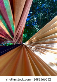 View from a nap in the hammock.
