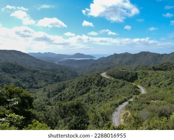 View of the narrow roads winding through the green, dense forest of the Coromandel Peninsula on the North Island of New Zealand. In the background you can see the coast and the sea.