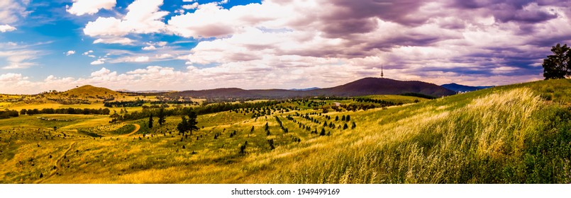 View Of National Arboretum And Black Mountain In Canberra