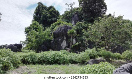View of Nature