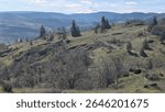 View from near the top of the Columbia River Valley in a sparse grassy meadow dotted with rocky outcroppings and bushes, looking down on the river flowing below, the surrounding hills, and Mt Hood.