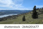 View from near the top of the Columbia River Valley in a sparse grassy meadow dotted with rocky outcroppings and bushes, looking down on the river flowing below, the surrounding hills, and Mt Hood.