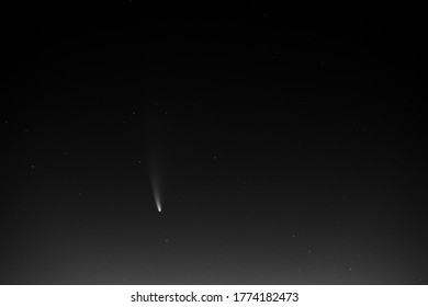 View Of Neowise  Or C/2020 F3 Comet As Viewed From USA Just Before Dawn