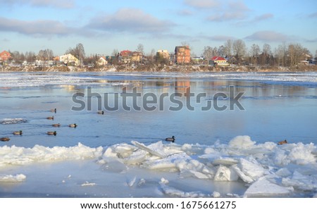 Similar – duck on ice… Winter Ice