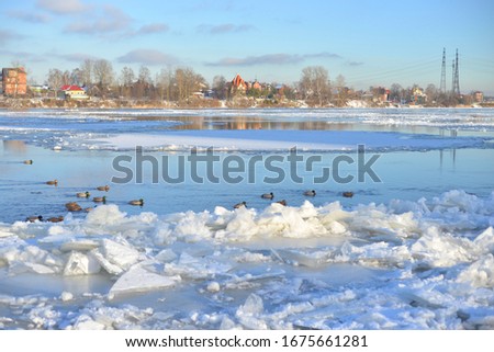 Similar – duck on ice… Winter Ice