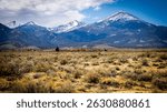 View of Nevada
