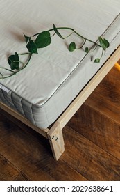 View Of The New Mattress, Sleep Concept