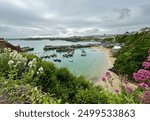 View of Newquay Harbour from behind some wildflowers up a hill