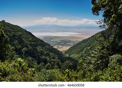 View Of The Ngorongoro Crater In Tanzania