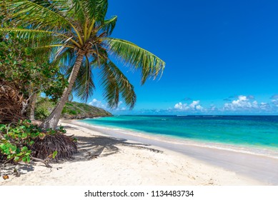 10,910 Puerto rico beach Images, Stock Photos & Vectors | Shutterstock