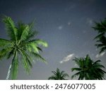 View of night sky with many stars. The photo was taken in a village with coconut trees.