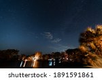 View of night sky stars and faint milky way from Big Cypress National Reserve in the Everglades