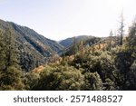 View of North Fork American River from Steven