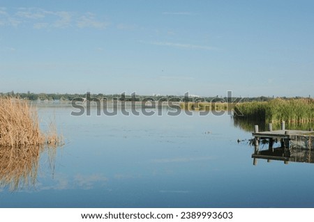 View north towards downtown, wood dock on Lake Shore Park in St. Petersburg, FL on a sunny day cross brown sea oats marsh with blue water, blue sky and ducks.
