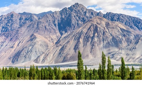 View Of Nubra Valley And Nubra River In  Ladakh, India