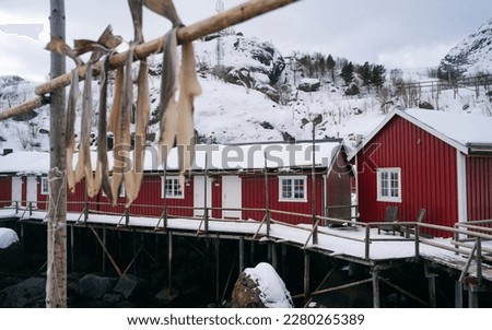 Similar – Foto Bild Steg zur Fischerhütte am Étang du Welschhof