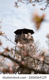 View of the observation tower, which is located among the branches of almond blossoms in the Czech town