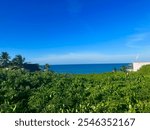 View of ocean with Clouds and Trees