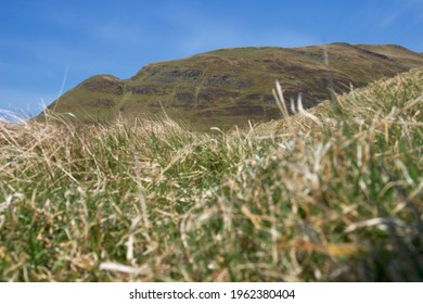 View Of Ochil Hills Sunny Day, Scotland