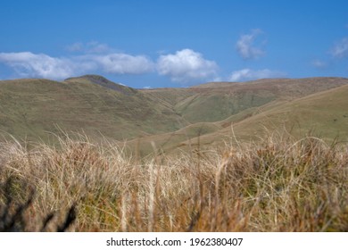 View Of Ochil Hills Sunny Day, Scotland