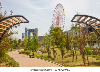 View Of Odaiba Island