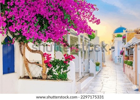 View of Oia street in the mornong, Santorini, Greece