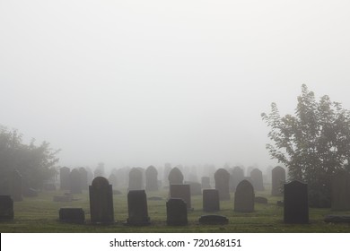 View of old cemetery park in the mist