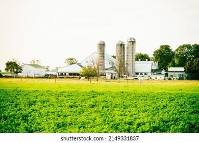 View To Old Farm Placed In Lancaster, Pennsylvania, USA, 