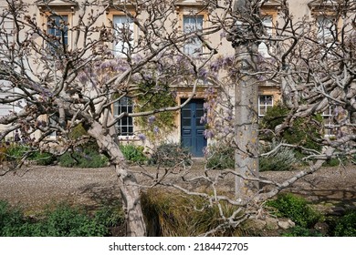 View Of An Old House Obscured By Tree Branches