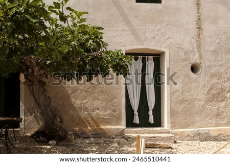 Similar – Image, Stock Photo A Mediterranean courtyard, the curved facade of a residential building and a delicate flower