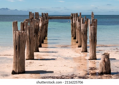 A View Of An Old Jetty Flinders Island Tasmania