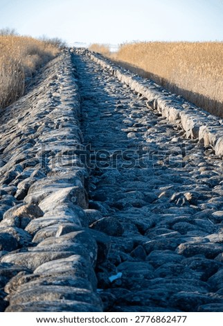 view of old, stone a breakwater that extends into the sea and was intended for the construction of a railway, surrounded by dry reed fields, Ainazi, Latvia