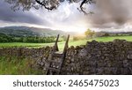 A view of an old stone wall and the rolling landscape of the Yorkshire Dales in England.