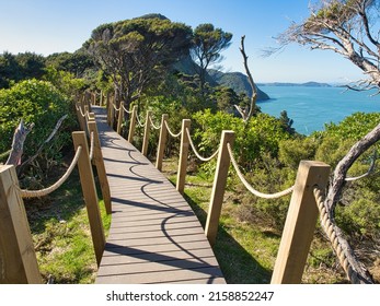 
View Of Omanawanui Track At Waitakere Ranges