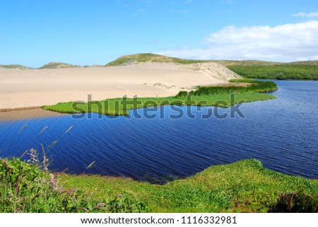 View on Abbotts Lagoon on the northwestern coast of the Point Reyes National Seashore in Marin County on California’s north central coast