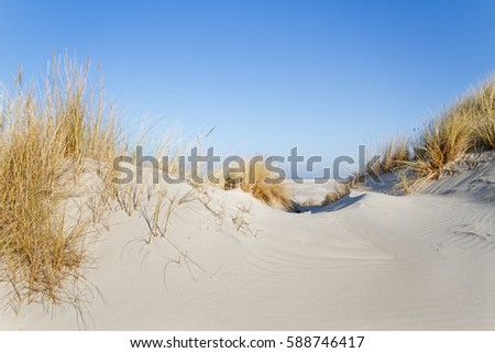 Similar – Landschaft mit Dünen auf der Insel Amrum