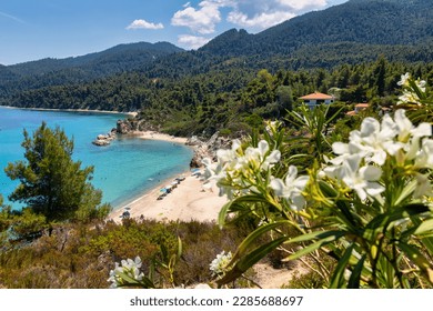 View on beautiful Fava sand beach near Vourvourou, Greek peninsula Sithonia, Chalkidiki (Halkidiki), Greece, Europe. Summer vacation at Aegean Mediterranean Sea. - Powered by Shutterstock