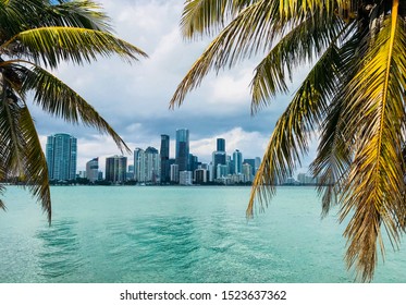 View On City Of Miami (Cityscape, Downtown, Skyscrapers), Palms, Ocean, Cloudy Sky. USA, Florida