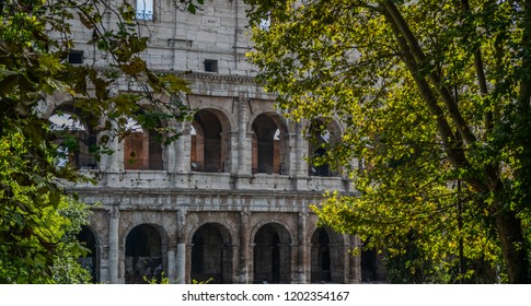 view on colloseum through trees, Rome Italy
