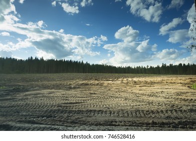 View on the cut down trees in the forest.