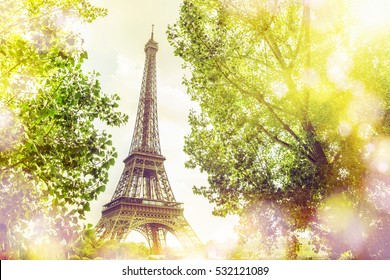 View on Eiffel tower through green summer trees with sunset rays. Beautiful Romantic background. Eiffel Tower from Champ de Mars, Paris, France.